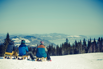Luge